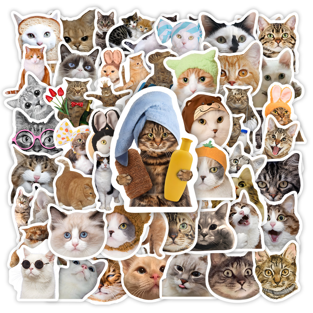 Bonito engraçado gato clipart  - Kids Toys Clipart avaliação e preço