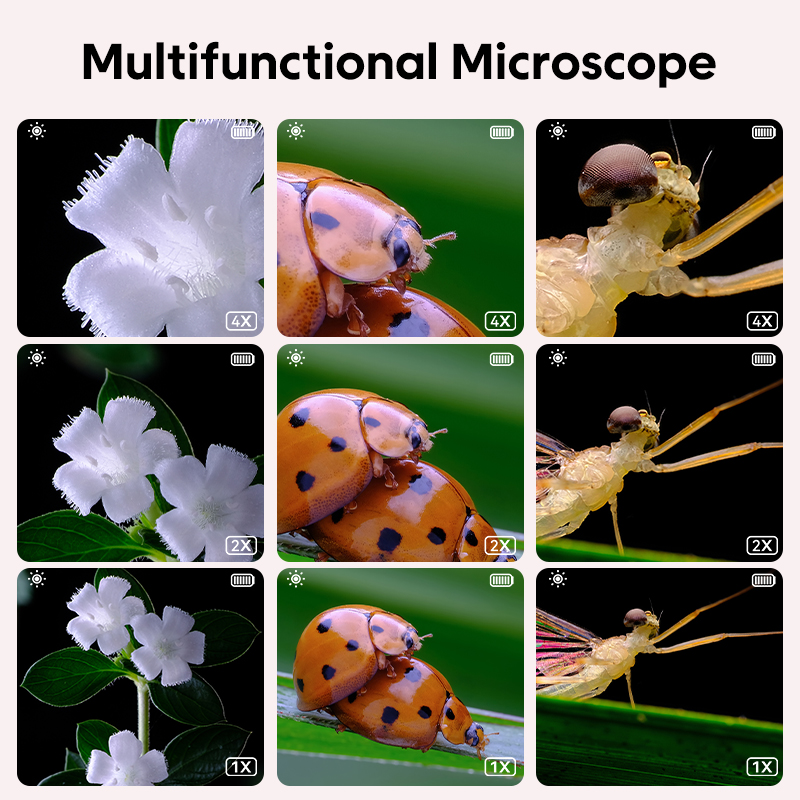Mini microscópio óptico infant - Kids Toys Videos avaliação e preço